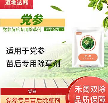 �h�����݄�-�h�����-