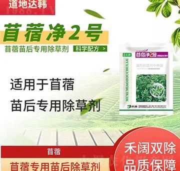 ��ޣ���݄�-��ޣ���-