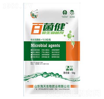 ΢�������-�پ���-��