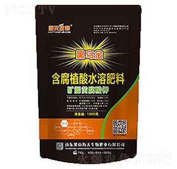 ����ֲ��ˮ�ܷ���-��������