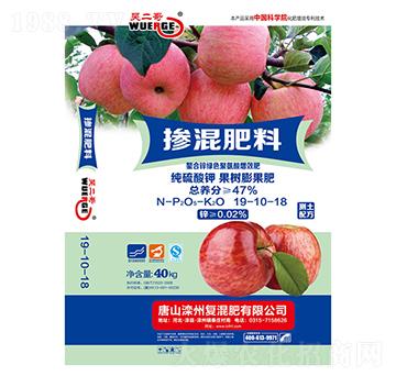 ����������Ó������19-10-18-�Ƕ���-����