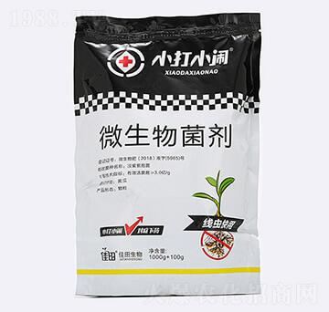 ���x����΢�������-С��С�[-��������