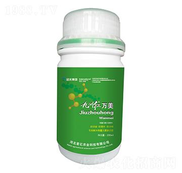 ���޼t�f(w��n)��-�{(l��n)������