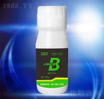 �Ǵ���-��{