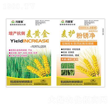 ���a(ch��n)�������S��+���o(h��)���P��-�ɹܼ�-��(r��n)��