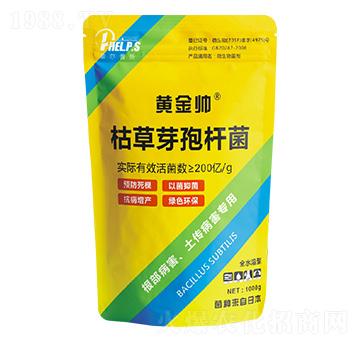 �ݲ�ѿ�ߗU��-�S����-