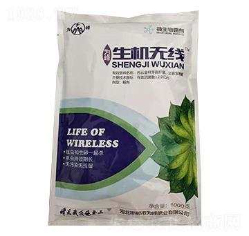 1000g΢�������-���C(j��)�o(w��)��(xi��n)-���