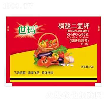 �������� ���� ����