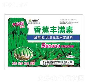 50g�㽶�S�M�� �ɹܼ� ����