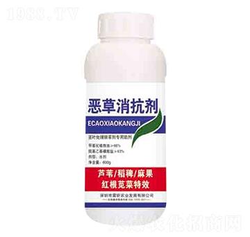 ����������  ����