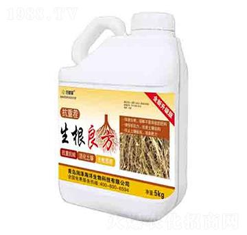 �������� ����