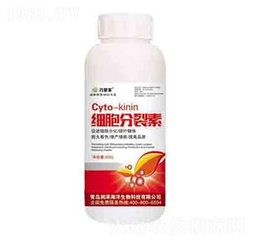 ���������� ����