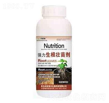 �����������焩 �ɹܼ� ����