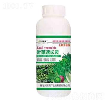 �~�����L�` �ɹܼ� ����