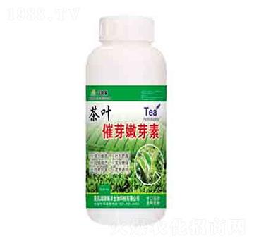 ���~��ѿ��ѿ�� ��(r��n)��