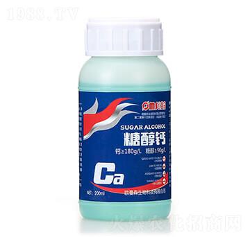 �Ǵ��}-�W��ɭ