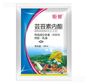 0.01%�|̦�؃��� ⠐� ⠰��r�I(y��)