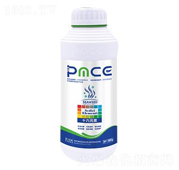 ʮ��Ԫ������˹