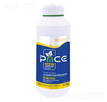 ��˹���L ����˹