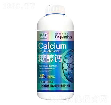 �Ǵ��} ������