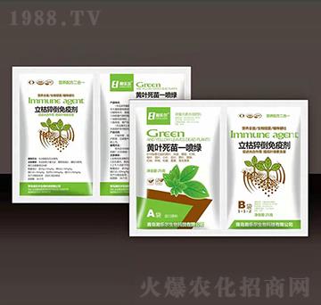 �S�~����һ���G+����⧵����߄�-嫘�(l��)��