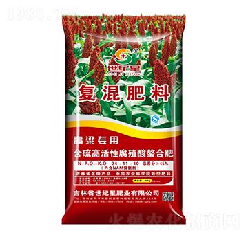 �������Ïͻ����24-11-10-���o��