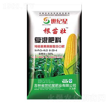 ������S�����������׌��Ïͻ����23-8-10-�����-���o��