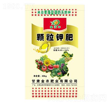 �w��⛷�-�����A-���r�ʘI(y��)