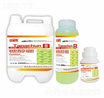 �Ǵ���-��(gu��)�����r(n��ng)