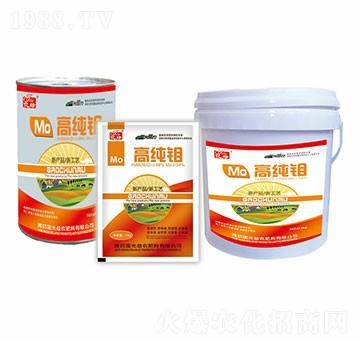 �߼��f-�������r