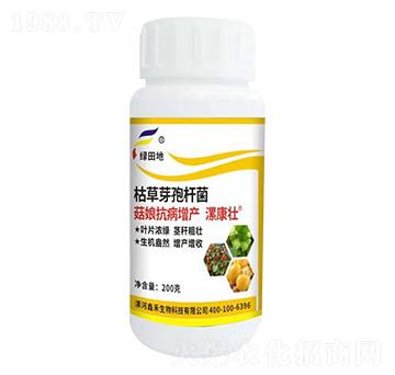 ���￹�����a��-�𿵉�