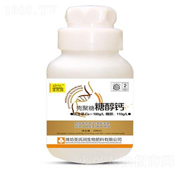 �������Ǵ��}-ʥ�ϝ�(r��n)