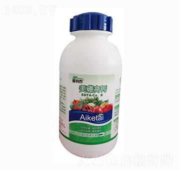 ������}-��(��i)��̩