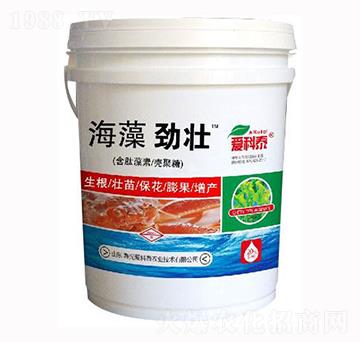 ����ŉ�-��(��i)��̩