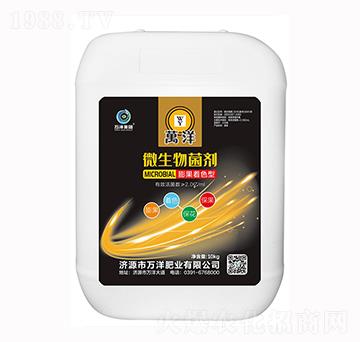 10kg�����ɫ��΢��