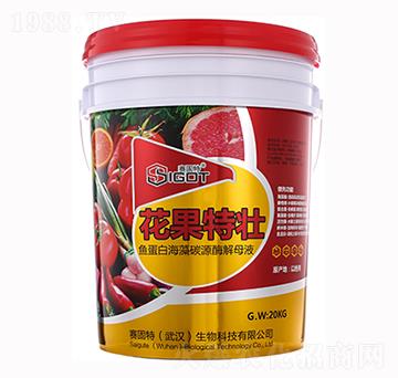 �����؉�-ِ����