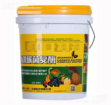 ����̼����ø-ِ����