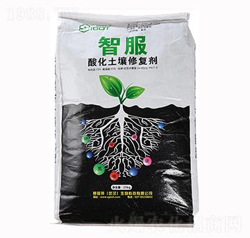 �ữ�����ޏ�(f��)��-�Ƿ�-ِ����