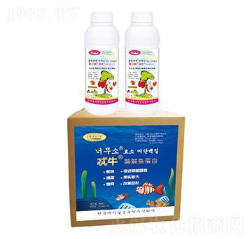 ø���~����-߯ţ-�A��