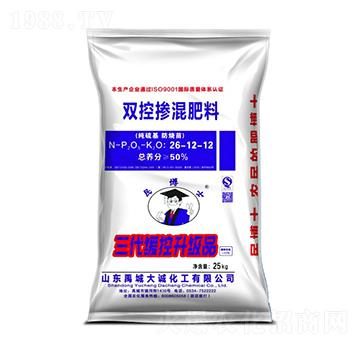 �����p�ؓ������26-