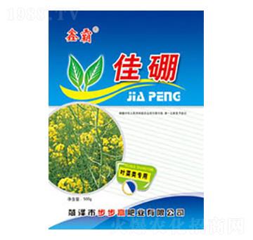 ����-�ΰ�-�����߷ʘI(y��)