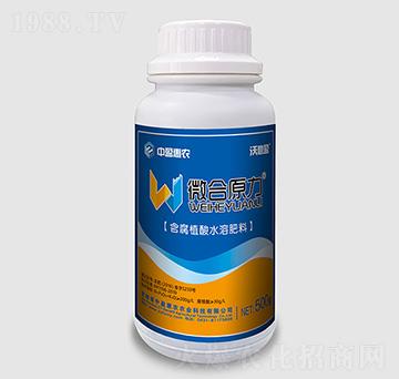 ƿ�b΢��ԭ���_ʩ��-�ֱ�ӯ-��ӯ���r