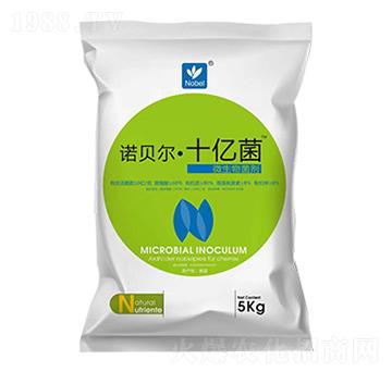 ΢�������-�Zؐ����ʮ�|��-������