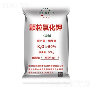 �w���Ȼ��-����R��