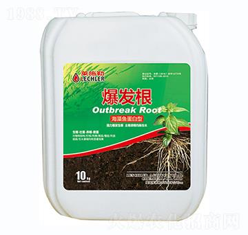 �����~(y��)������-���l(f��)��-������