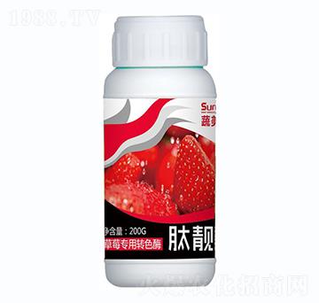 ��ݮ��(zhu��n)���D(zhu��n)ɫø-���n��-������