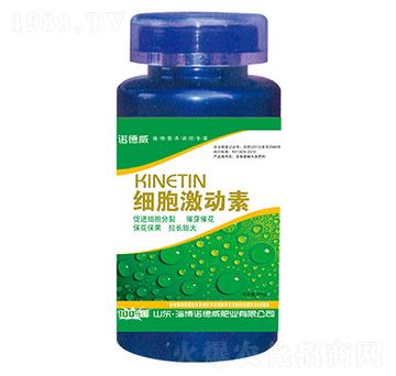 ��(x��)������(d��ng)��-�Z����