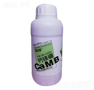 �c���}�V��-�B(y��ng)��