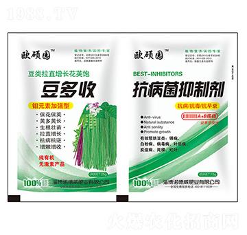 ������+���������Ƅ�-