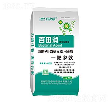 ���-�f�ݿ�